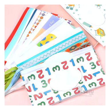 ESTUCHE EXCELENTE PARA PAÑITOS HUMEDOS ORGANIZADOS SET 2