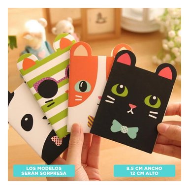 ALMOHADILLA DE APOYO EN BEIGE Y+REGALO AGENDITA - 6