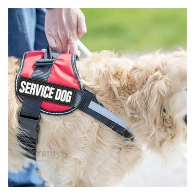 CORREA PERROS MA30991 RYBIU PEQUEÑOS ROJO TALLA S + GIFT MINIAGENDA