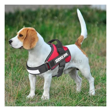 CORREA PERROS MA30991 RYBIU DOG FACIL USO ROJO TALLA S + REGALO AGENDITA