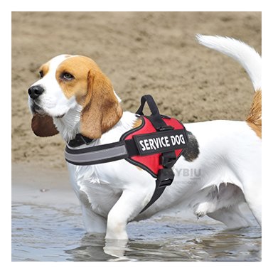 CORREA PERROS MA30991 RYBIU EN FORMA ALAS EN ROJO TALLA S + REGALO STICKERS