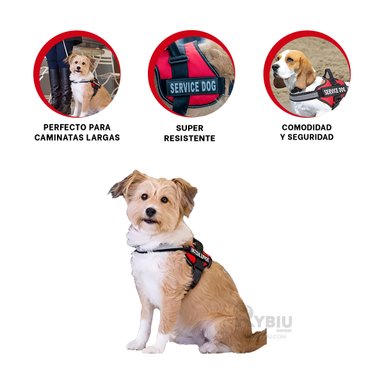 ARNÉS PERROS MA30991 RYBIU RAZA PEQUEÑA ROJO TALLA S + REGALO AGENDITA - 3