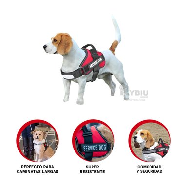 PECHERA PERROS MA30991 RYBIU USO FACIL ROJO + REGALO LIGAS PEINAR