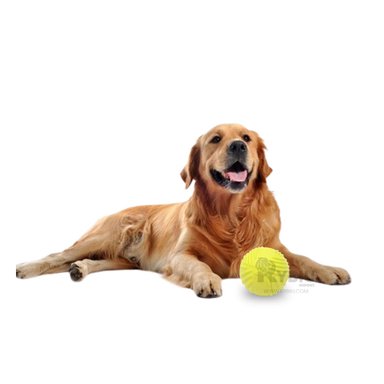 BALÓN PERROS MA29079 RELAJANTE VERDE LIMON + ENVOLTORIO REGALO RYBIU