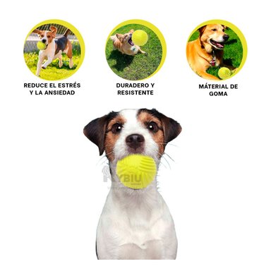 JUGUETE PERROS MA29079 PRACTICO EN VERDE LIMON + REGALO LIGAS PEINAR RYBIU