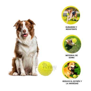 JUGUETE PERROS MA29079 GOMA EN VERDE LIMON + LIGAS REGALO RYBIU
