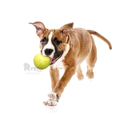 BALÓN PERROS MA29079 DIVERTIDO LAS MASCOTAS EN VERDE LIMON + STICKERS RYBIU