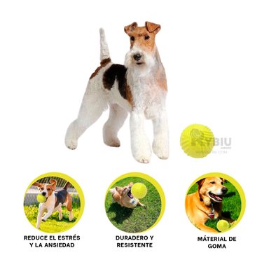 JUGUETE PERROS MA29079 MANI EN VERDE LIMON + BANDERITAS ADHESIVAS RYBIU