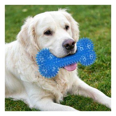 JUGUETE PERROS MA29852 SET CANINO JUGAR CELESTE + PAPEL REGALO RYBIU