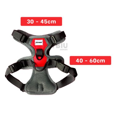 CORREA PERROS MA30094 RYBIU MODERNA EN ROJO + LIGAS REGALO