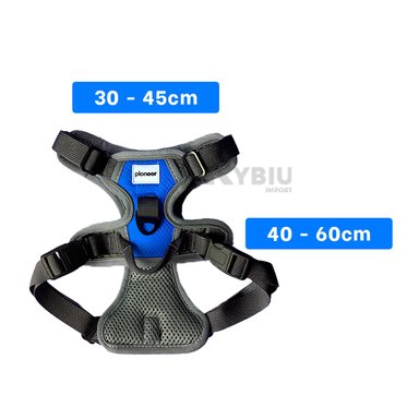 CORREA PERROS MA30092 RYBIU MODERNA AZUL + LIGAS REGALO