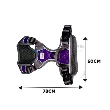 CORREA PERROS MA30090 RYBIU MODERNA EN MORADO + LIGAS REGALO