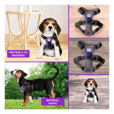 CORREA PERROS MA30090 RYBIU MODERNA EN MORADO + LIGAS REGALO - 5