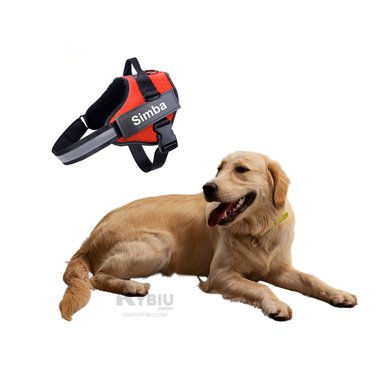 CORREA PERROS MA30959 RYBIU DINAMICA EN TALLA L EN ANARANJADO + GIFT STICKERS