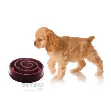 COMEDERO PERRO RYBIU ESPIRAL GUINDA + REGALO AGENDITA