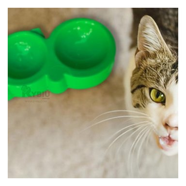 PLATO COMIDA GATO MA31290 RYBIU DOBLE M VERDE + PAPEL REGALO