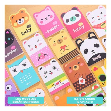 MACETA DECORATIVA EN MODELO CUBO PLATEADO Y+GIFT MINIAGENDA - 6