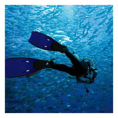 ALETAS DE NATACION EN CAUCHO PARA ACTIVIDADES SUBMARINAS Y+LIGAS REGALO