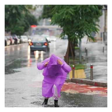 PACK4 PRENDA IMPERMEABLE PARA NINOS CON AJUSTE FLEXIBLE Y COMODO Y+PAPEL REGALO - 5