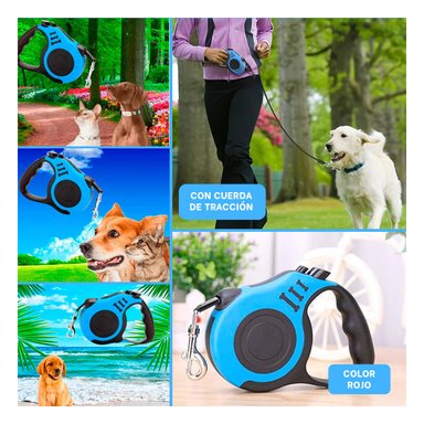 PACK4 CUERDA PARA MASCOTAS AZUL Y+BANDERITAS ADHESIVAS