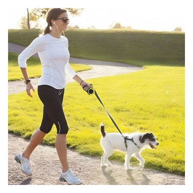 PACK12 SOGA RETRACTIL PARA PERROS CON 3 M EN COLOR AMARILLO