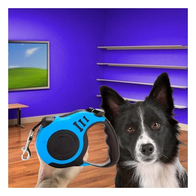 PACK4 CORREA DE PASEO CON 3 M EN AZUL Y+REGALO STICKERS