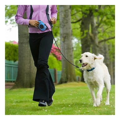 PACK12 SOGA RETRACTIL PARA PERROS CON 3 M EN COLOR AZUL