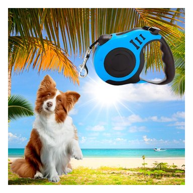 PACK4 CORREA DE PASEO PARA PET EN AZUL Y+PAPEL DE REGALO