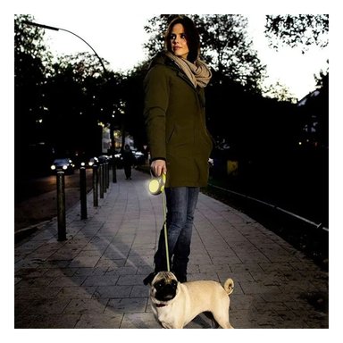 PACK12 SOGA PARA CAMINAR CON PERRO 5M EN COLOR AMARILLO