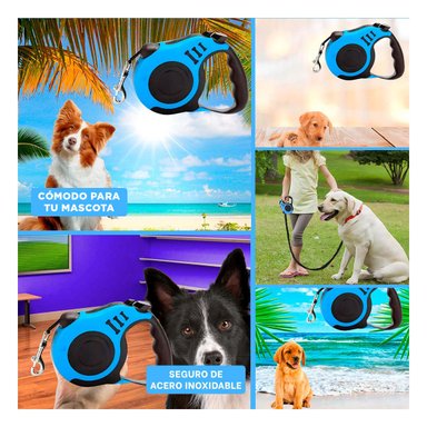 PACK4 CUERDA DE PASEO PARA PERROS AZUL Y+LIGAS DE REGALO