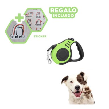 PACK12 CORREA CON EXTENDIBLE DE 5M VERDE Y+REGALO STICKERS