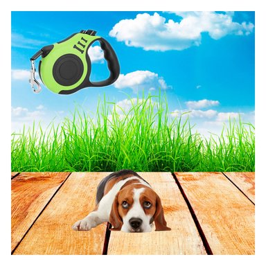 PACK4 CORREA CON EXTENDIBLE DE 5M EN VERDE Y+PAPEL DE REGALO