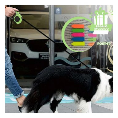 PACK4 CUERDA PARA MASCOTAS EN VERDE Y+BANDERITAS ADHESIVAS
