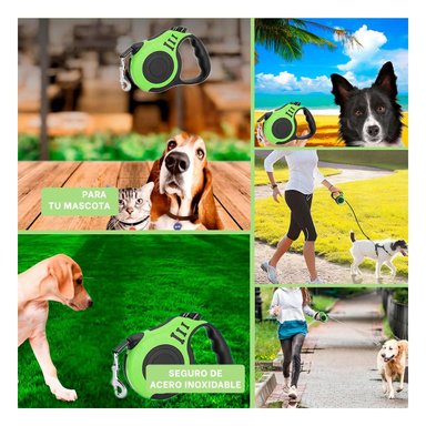 PACK4 CORREA SEGURA PARA SALIDAS URBANAS Y+REGALO STICKERS