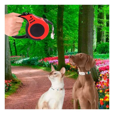 PACK4 CORREA ESTABLE PARA PASEOS DIARIOS Y+PAPEL DE REGALO