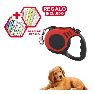 PACK12 CORREA 3 METROS PARA ZONAS ABIERTAS Y+PAPEL DE REGALO