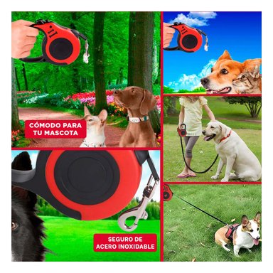 PACK4 CORREA SEGURA PARA SALIDAS URBANAS Y+REGALO STICKERS