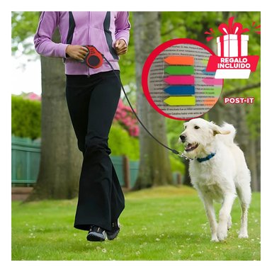 PACK12 CORREA MASCOTAS PARA CAMINAR Y+BANDERITAS ADHESIVAS