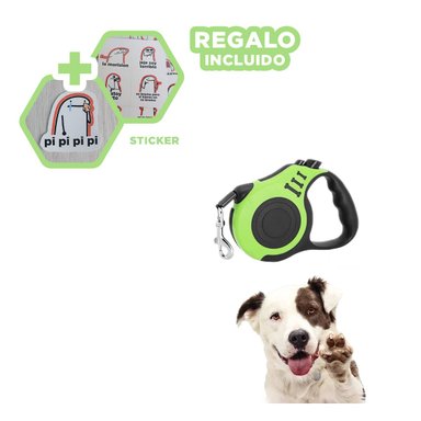 PACK12 CORREA ESTABLE PARA PASEOS DIARIOS Y+REGALO STICKERS