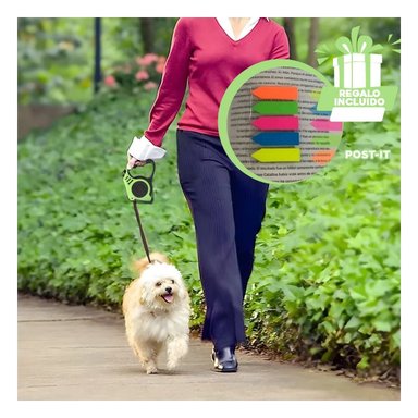 PACK6 SOGA VERDE PARA PASEOS SEGUROS Y+BANDERITAS ADHESIVAS