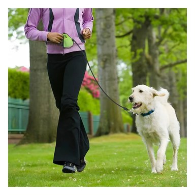 PACK6 CINTA RETRACTIL DE 3 METRIS EN VERDE PARA MASCOTAS