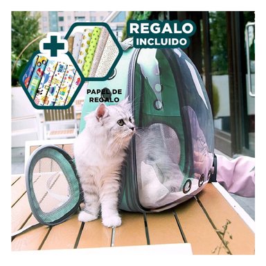 MOCHILA DE TRANSPORTE DE GATO EN VERDE Y+PAPEL DE REGALO