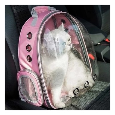 PACK2 BOLSO TRANSLUCIDO PARA CATS EN ROSA Y+LIGAS DE REGALO