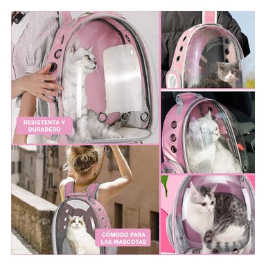 PACK4 BOLSO ESPECIAL PARA GATITOS EN ROSA Y+REGALO STICKERS