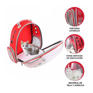 PACK2 BOLSO TRANSLUCIDO PARA CATS EN ROJO Y+LIGAS DE REGALO