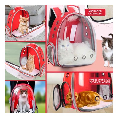 PACK4 BOLSO ESPECIAL PARA GATITOS EN ROJO Y+REGALO STICKERS