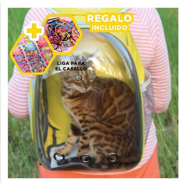 MORRAL TRANSPARENTE PARA CATS EN AMARILLO Y+LIGAS DE REGALO
