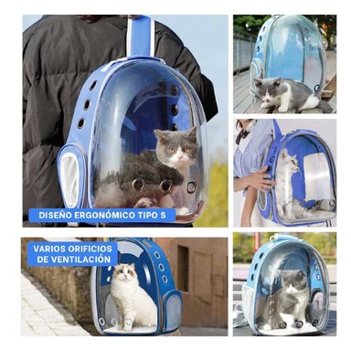 PACK4 BOLSO ESPECIAL PARA GATITOS EN AZUL Y+REGALO STICKERS