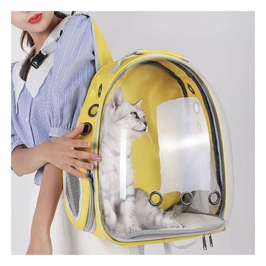 PACK2 BOLSO TRANSLUCIDO PARA CATS AMARILLO Y+LIGAS DE REGALO