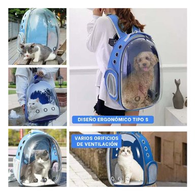 PACK4 BOLSO TRANSPARENTE PARA CAT EN AZUL Y+REGALO AGENDITA